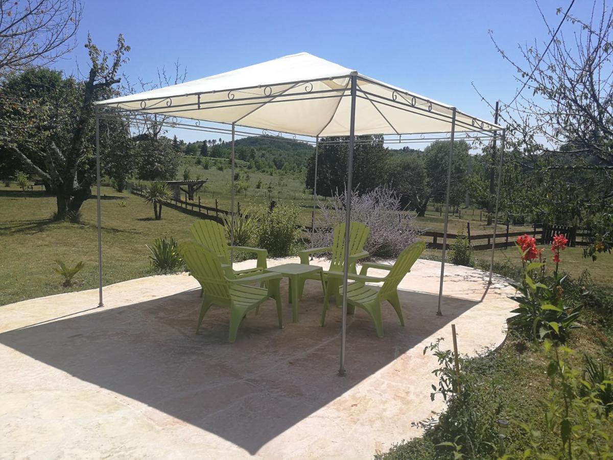 Mas Des Gardies Saint-Julien-de-Peyrolas ภายนอก รูปภาพ
