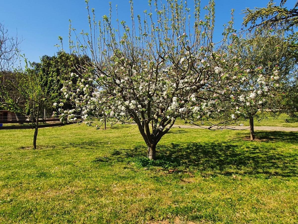 Mas Des Gardies Saint-Julien-de-Peyrolas ภายนอก รูปภาพ