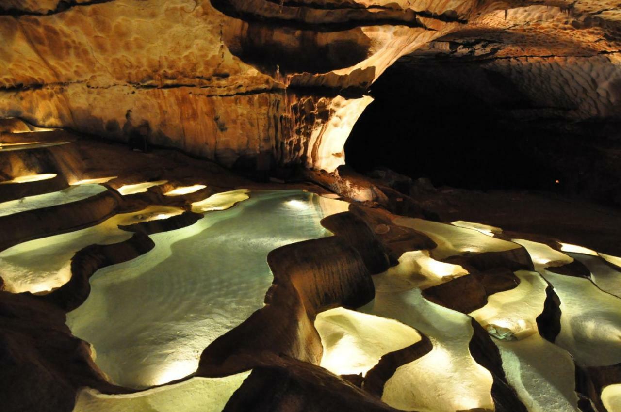 Mas Des Gardies Saint-Julien-de-Peyrolas ภายนอก รูปภาพ